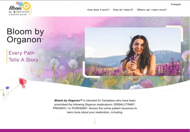 bloom website